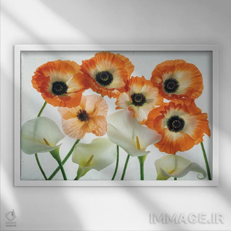 تابلو مجموعه گل صدتومانی اثر دنیس فراتس - نمای قابدار سفید