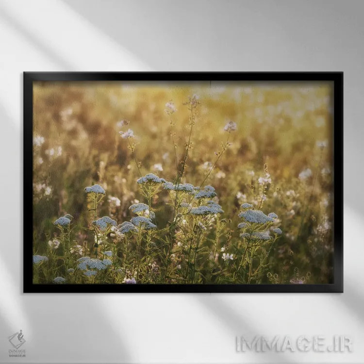 تابلو طلوع خورشید با گلهای وحشی اثر دنیس فراتس - نمای قابدار مشکی