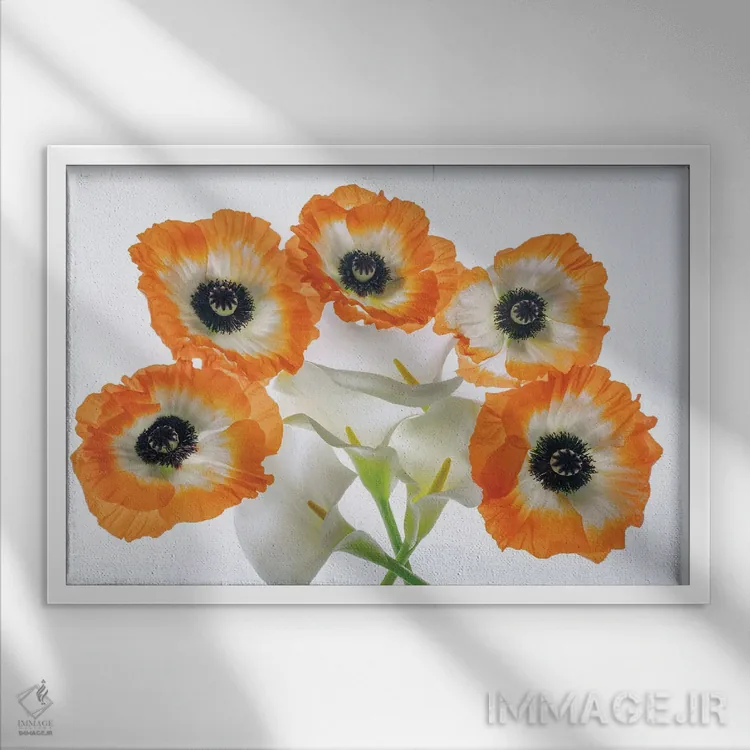 تابلو مجموعه گل صدتومانی II اثر دنیس فراتس - نمای قابدار سفید