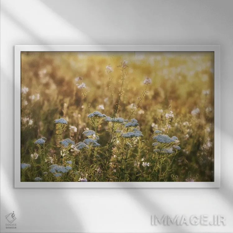 تابلو طلوع خورشید با گلهای وحشی اثر دنیس فراتس - نمای قابدار سفید