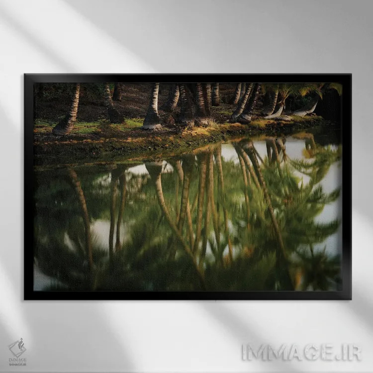 تابلو بازتاب درخت III اثر دنیس فراتس - نمای قابدار مشکی
