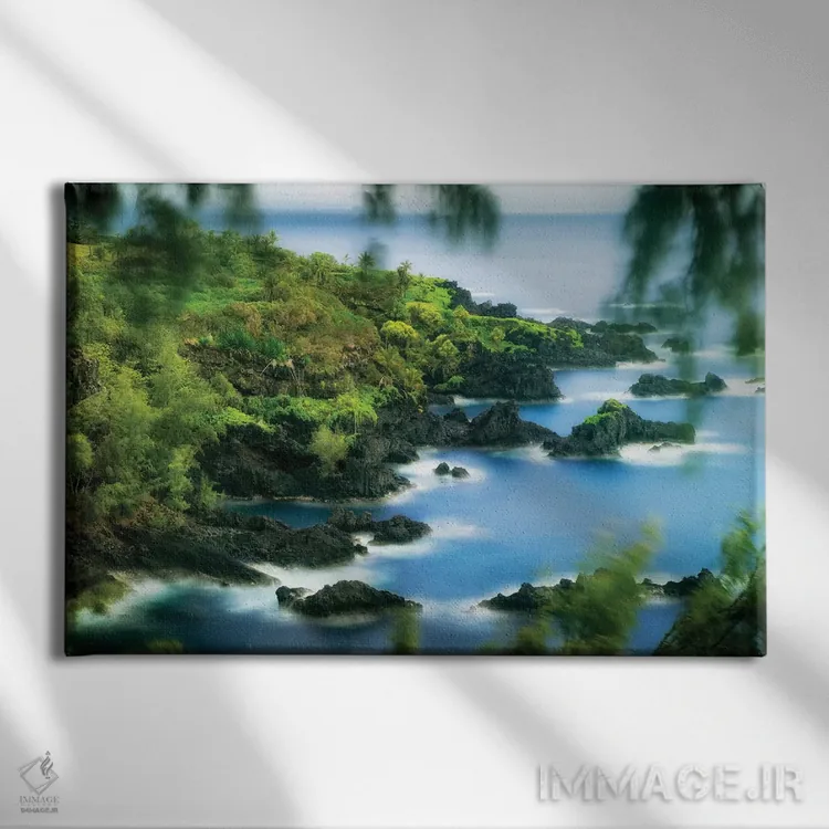 تابلو ساحل مائوئی I اثر دنیس فراتس - نمای روبهرو روی دیوار