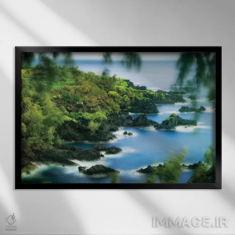 تابلو ساحل مائوئی I اثر دنیس فراتس - نمای قابدار مشکی