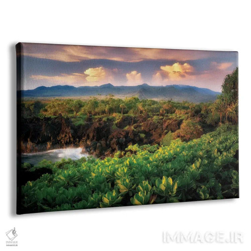 تابلو ساحل مائوئی II اثر دنیس فراتس - نمای پرسپکتیو محصول