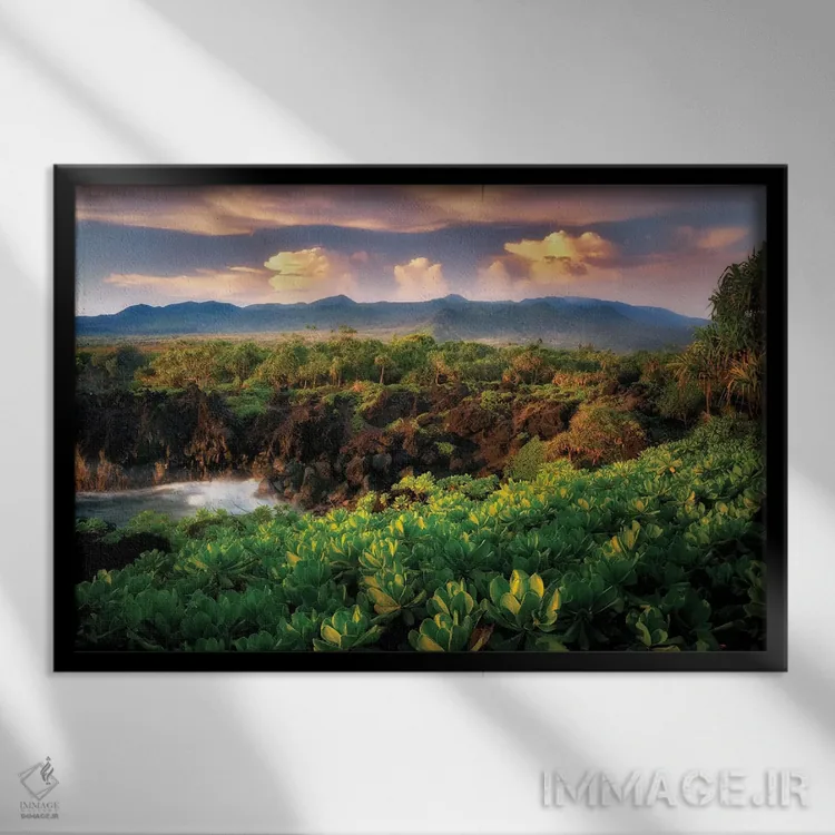 تابلو ساحل مائوئی II اثر دنیس فراتس - نمای قابدار مشکی