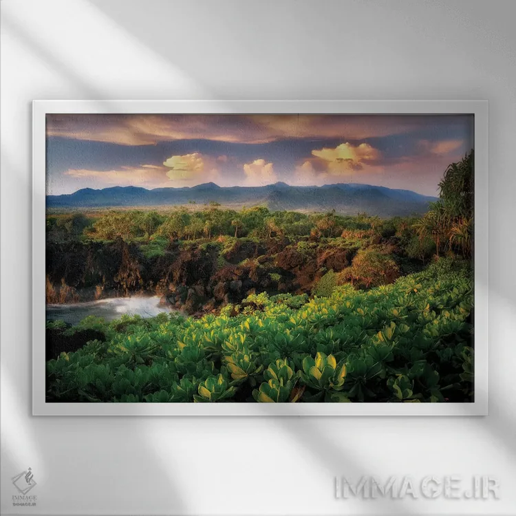 تابلو ساحل مائوئی II اثر دنیس فراتس - نمای قابدار سفید