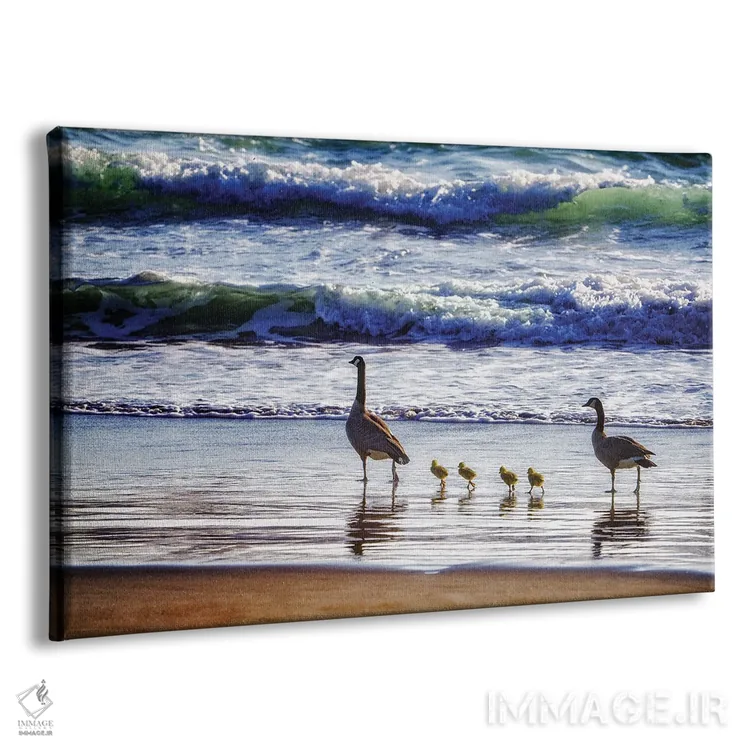 تابلو خانوادهٔ غازها در کنار ساحل اثر دنیس فراتس - نمای پرسپکتیو محصول