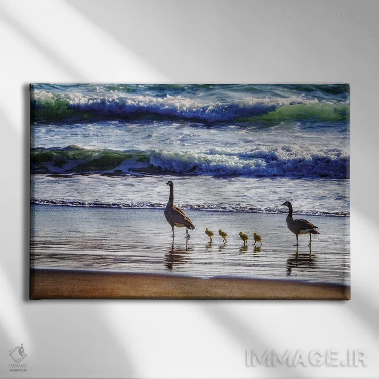 تابلو خانوادهٔ غازها در کنار ساحل اثر دنیس فراتس - نمای روبهرو روی دیوار