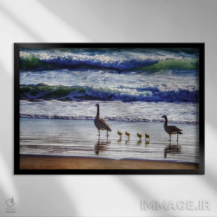 تابلو خانوادهٔ غازها در کنار ساحل اثر دنیس فراتس - نمای قابدار مشکی