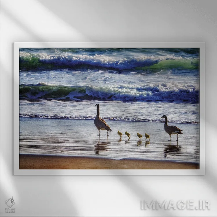 تابلو خانوادهٔ غازها در کنار ساحل اثر دنیس فراتس - نمای قابدار سفید