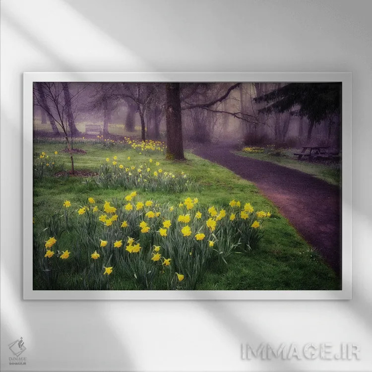 تابلو مسیر گل نرگس اثر دنیس فراتس - نمای قابدار سفید