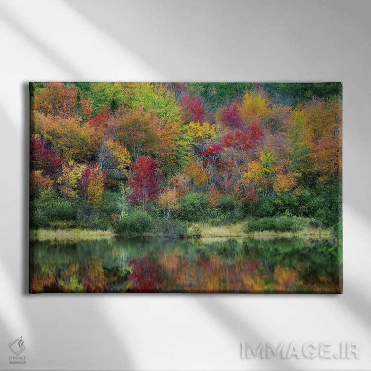 تابلو پاییز مین (ایالت آمریکا) اثر دنیس فراتس - نمای روبهرو روی دیوار