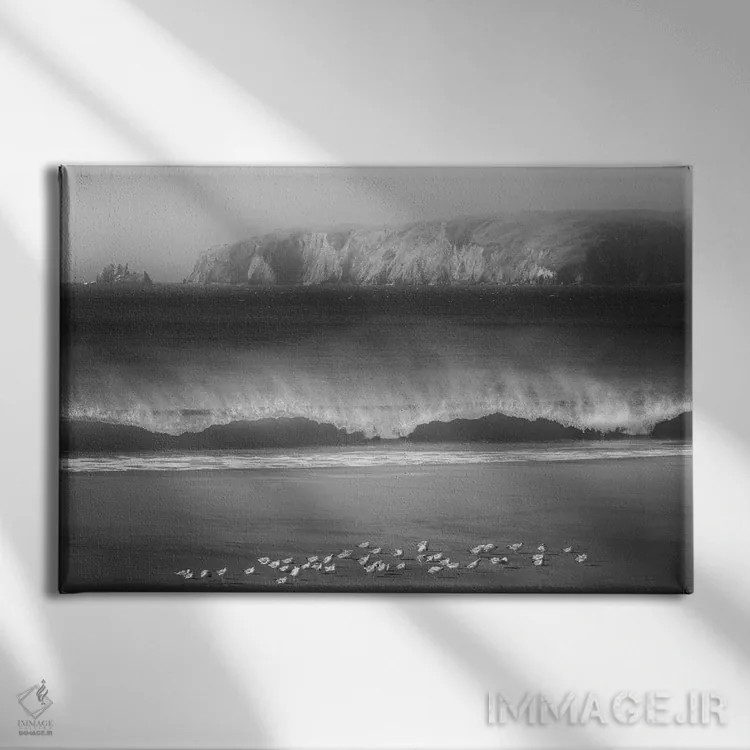 تابلو پرندگان ساحلی اثر دنیس فراتس - نمای روبهرو روی دیوار