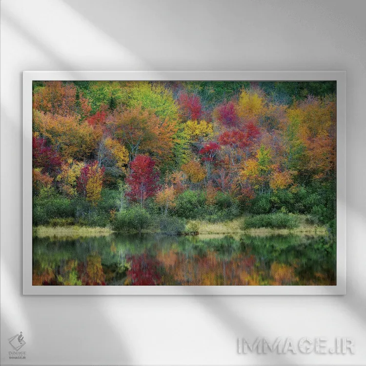 تابلو پاییز مین (ایالت آمریکا) اثر دنیس فراتس - نمای قابدار سفید