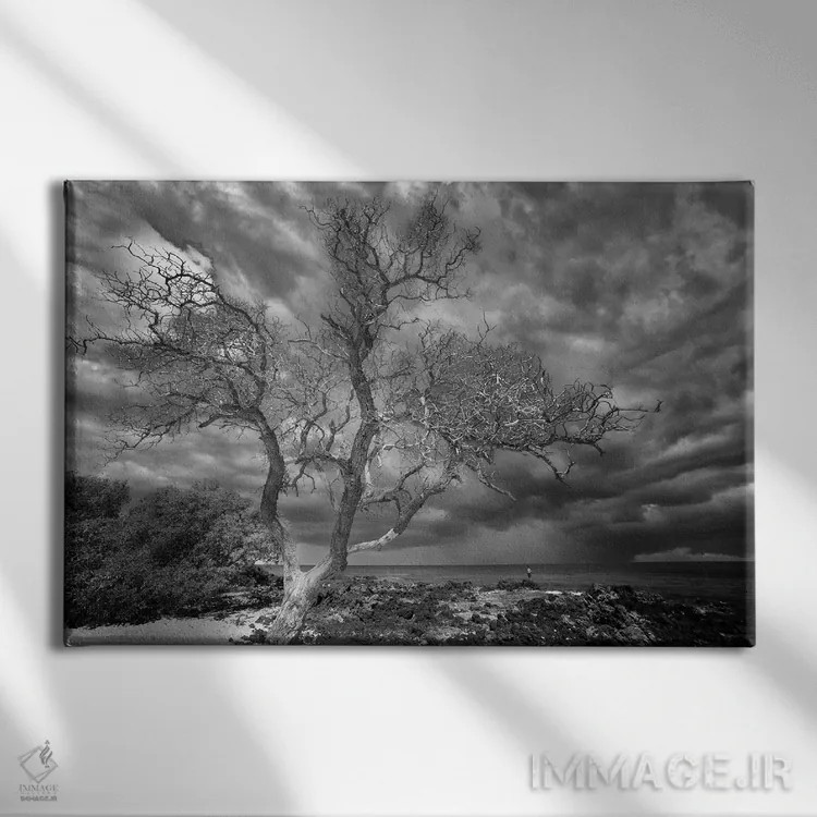 تابلو درخت استوایی اثر دنیس فراتس - نمای روبهرو روی دیوار