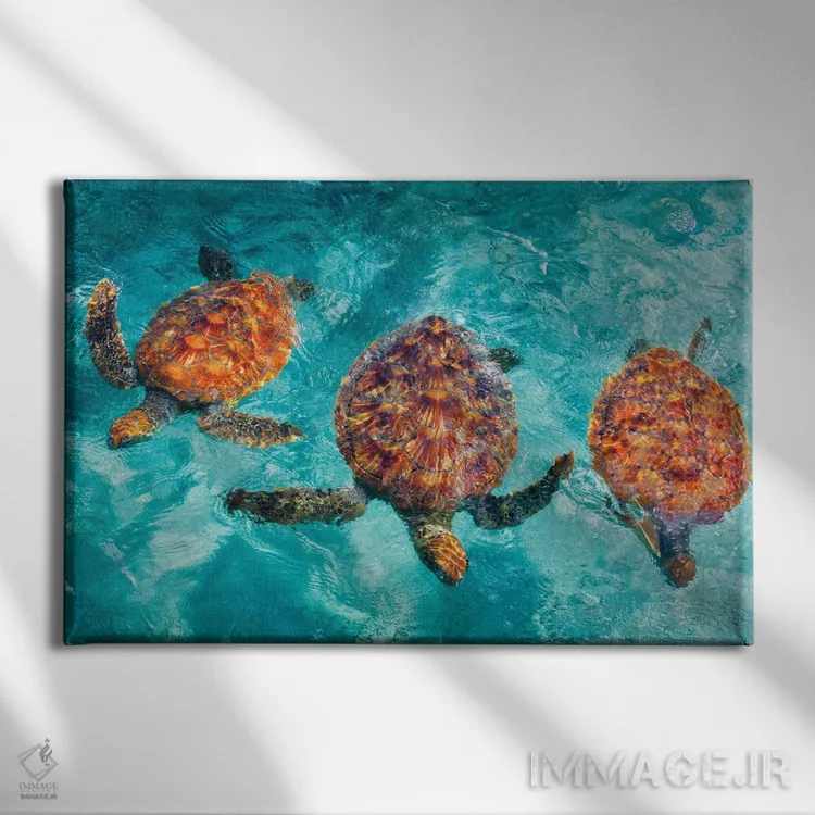 تابلو لاکپشتهای استوایی اثر دنیس فراتس - نمای روبهرو روی دیوار