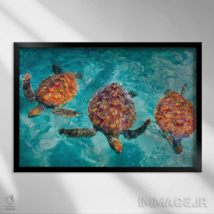 تابلو لاکپشتهای استوایی اثر دنیس فراتس - نمای قابدار مشکی