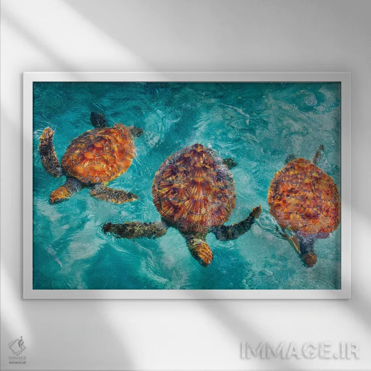 تابلو لاکپشتهای استوایی اثر دنیس فراتس - نمای قابدار سفید