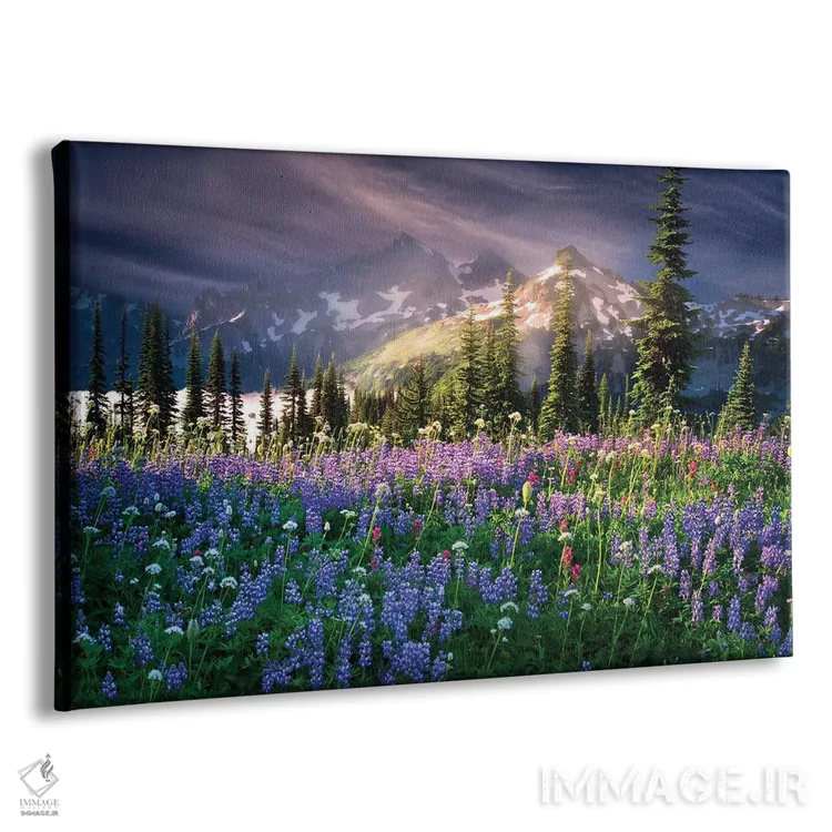تابلو گلهای وحشی کوهستانی اثر دنیس فراتس - نمای پرسپکتیو محصول