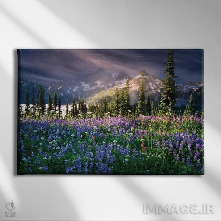 تابلو گلهای وحشی کوهستانی اثر دنیس فراتس - نمای روبهرو روی دیوار