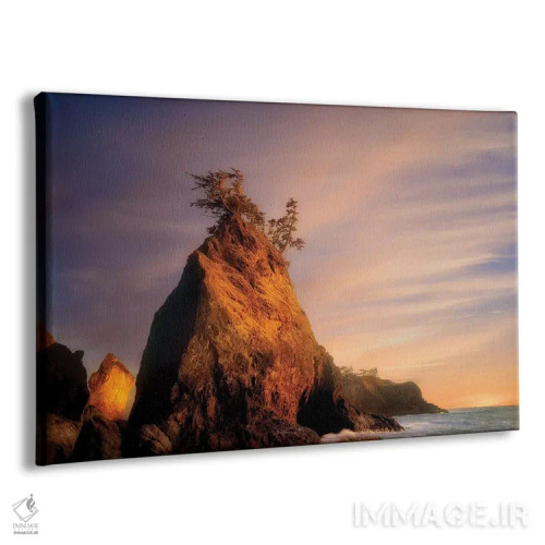 تابلو تکصخره دریایی اثر دنیس فراتس - نمای پرسپکتیو محصول