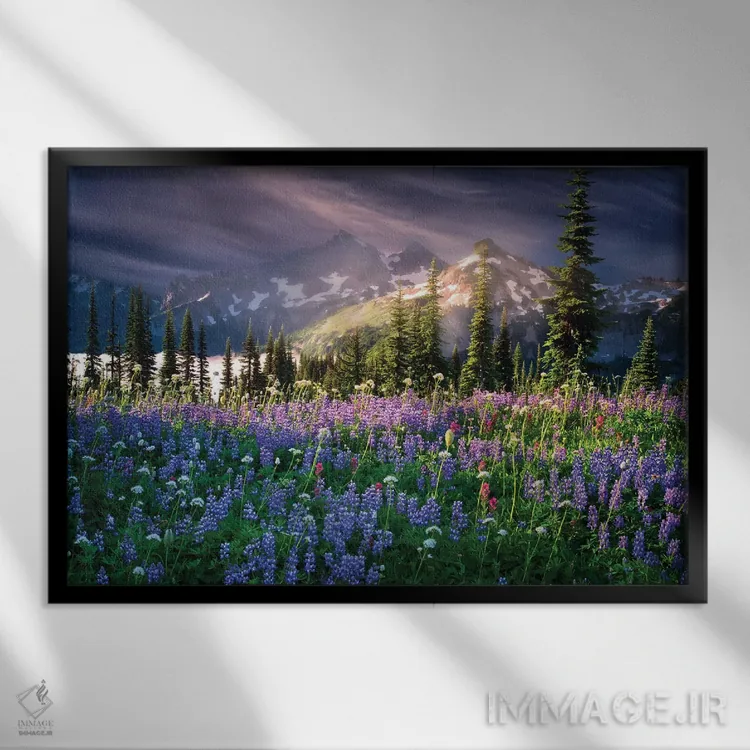 تابلو گلهای وحشی کوهستانی اثر دنیس فراتس - نمای قابدار مشکی