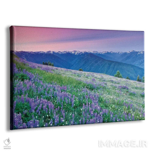 تابلو گلزار المپیک (پارک ملی المپیک) اثر دنیس فراتس - نمای پرسپکتیو محصول