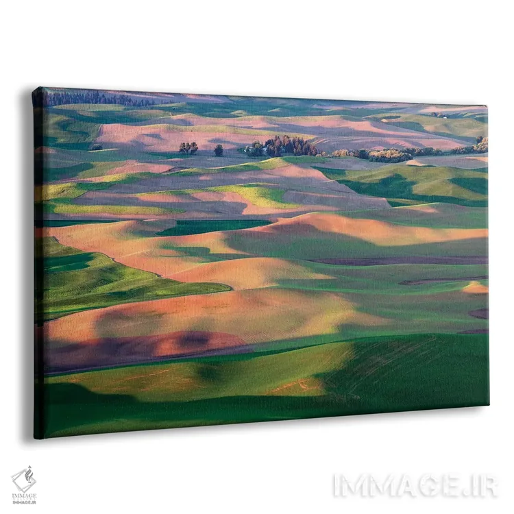 تابلو بهار پَلوس (منطقهای در آمریکا) اثر دنیس فراتس - نمای پرسپکتیو محصول