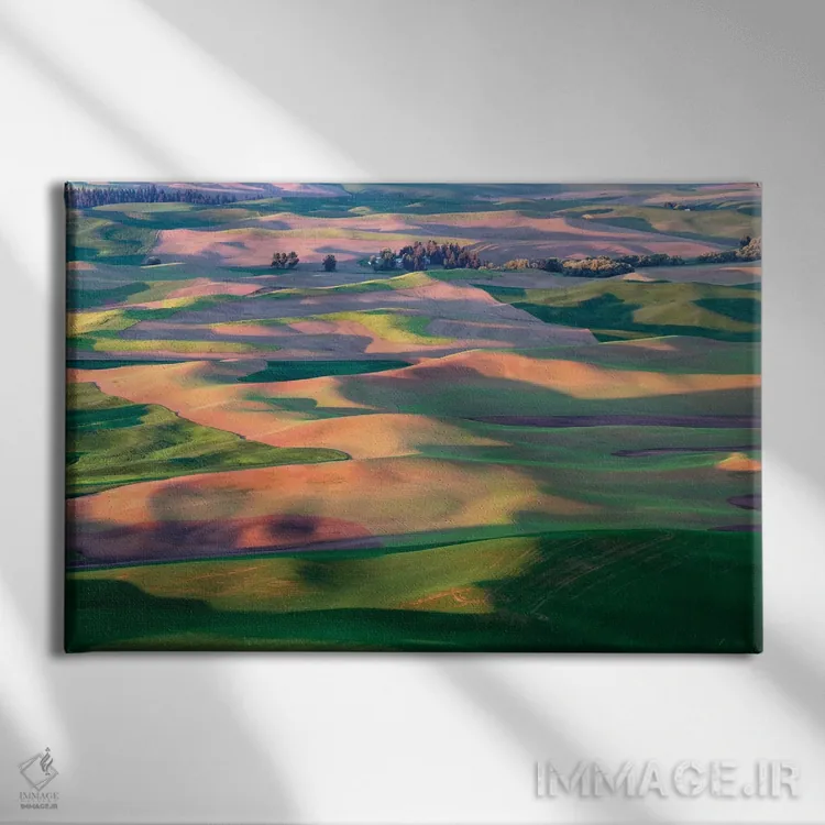 تابلو بهار پَلوس (منطقهای در آمریکا) اثر دنیس فراتس - نمای روبهرو روی دیوار