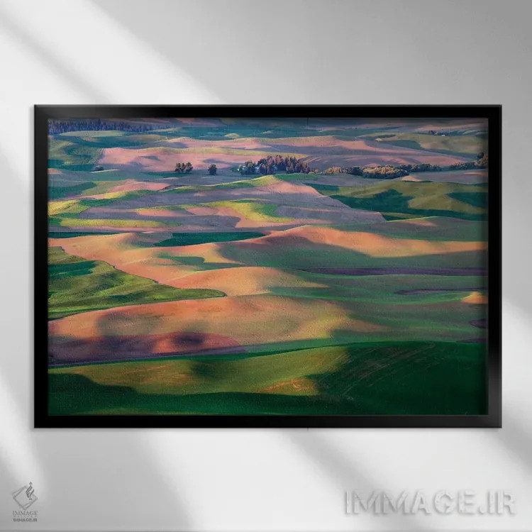 تابلو بهار پَلوس (منطقهای در آمریکا) اثر دنیس فراتس - نمای قابدار مشکی