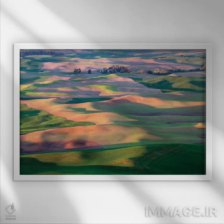 تابلو بهار پَلوس (منطقهای در آمریکا) اثر دنیس فراتس - نمای قابدار سفید