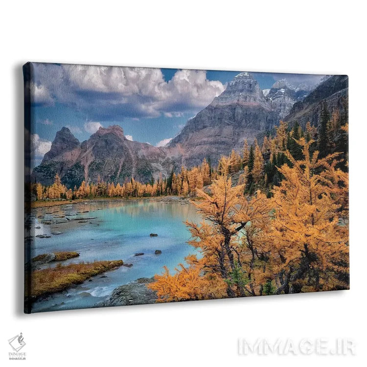 تابلو درخت لارچ کوهستان راکی (نوع درخت) اثر دنیس فراتس - نمای پرسپکتیو محصول