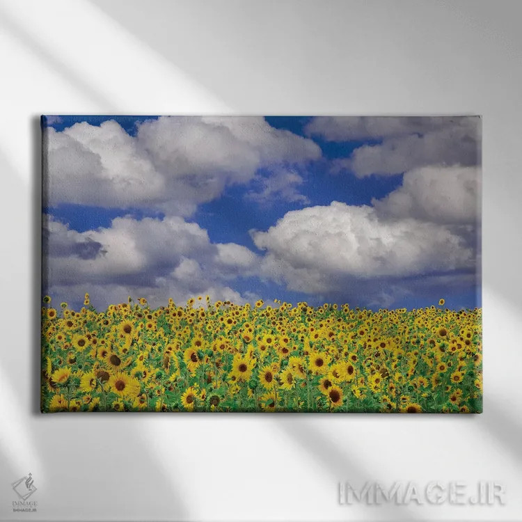 تابلو گل آفتابگردان آفتابی اثر دنیس فراتس - نمای روبهرو روی دیوار