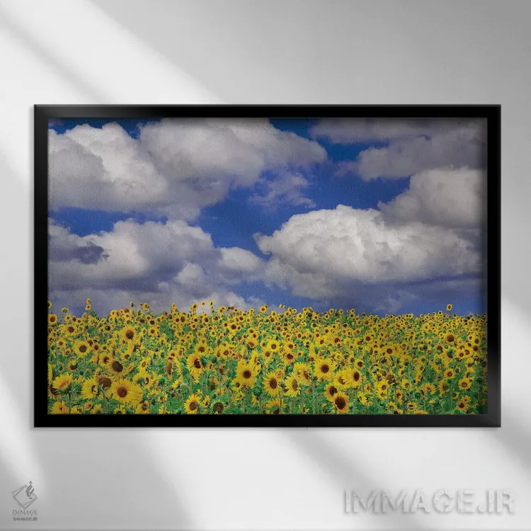 تابلو گل آفتابگردان آفتابی اثر دنیس فراتس - نمای قابدار مشکی