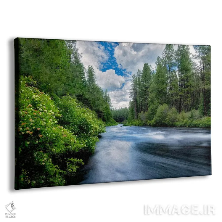 تابلو رودخانهٔ بهاری روان ۱ اثر دنیس فراتس - نمای پرسپکتیو محصول