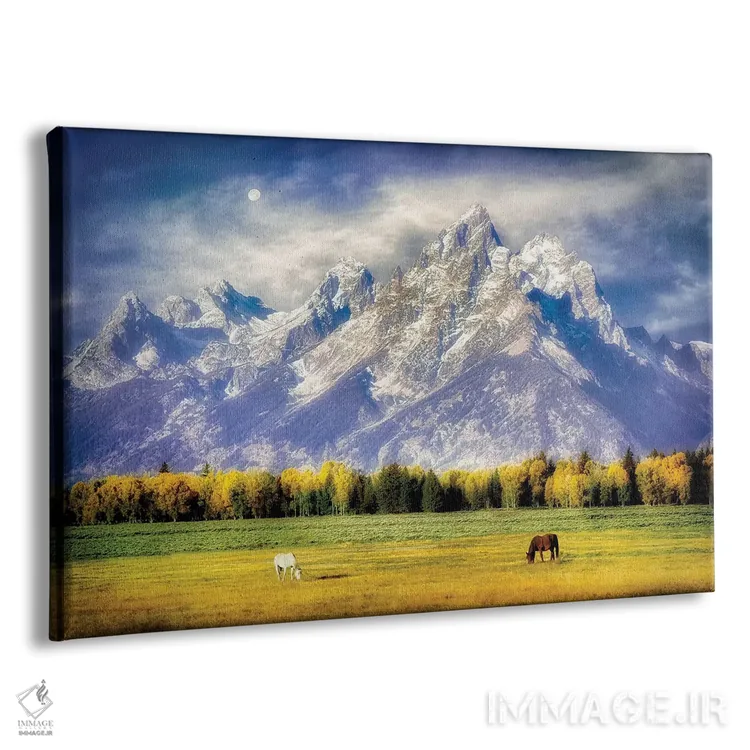 تابلو مرتع تتون (پارک ملی تتون) اثر دنیس فراتس - نمای پرسپکتیو محصول