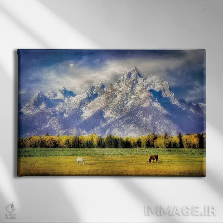 تابلو مرتع تتون (پارک ملی تتون) اثر دنیس فراتس - نمای روبهرو روی دیوار