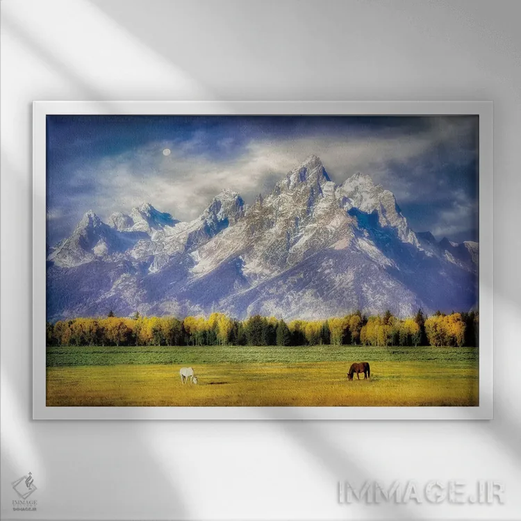 تابلو مرتع تتون (پارک ملی تتون) اثر دنیس فراتس - نمای قابدار سفید