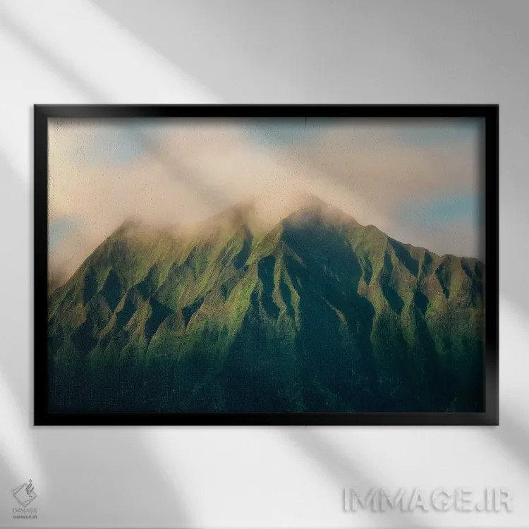 تابلو قلهٔ گرمسیری ۱ اثر دنیس فراتس - نمای قابدار مشکی