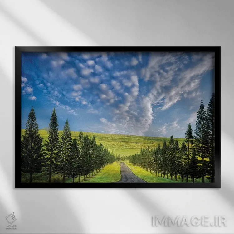 تابلو جادهای با درختان دوطرفه اثر دنیس فراتس - نمای قابدار مشکی