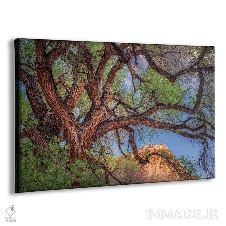 تابلو درخت گستردهٔ وحشی اثر دنیس فراتس - نمای پرسپکتیو محصول