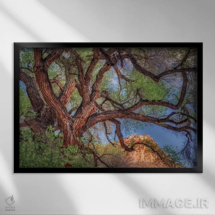 تابلو درخت گستردهٔ وحشی اثر دنیس فراتس - نمای قابدار مشکی