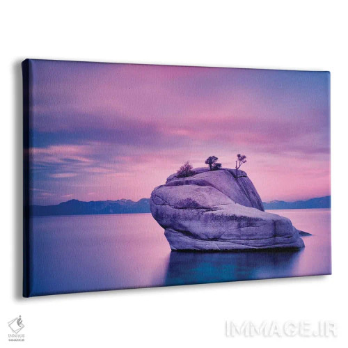 تابلو صخره بونسای (شبیه بونسای) اثر دنیس فراتس - نمای پرسپکتیو محصول