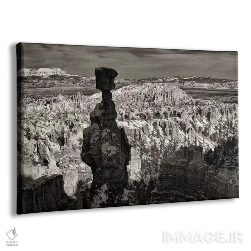 تابلو ستون سنگی بریس ۱ (پارک ملی در آمریکا) اثر دنیس فراتس - نمای پرسپکتیو محصول