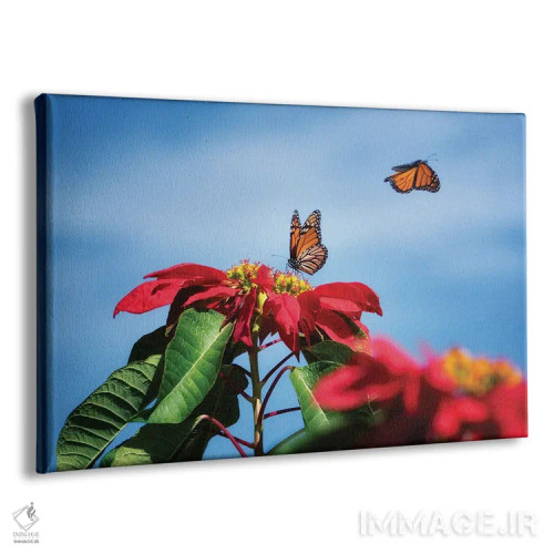 تابلو پروانههای شهریار ۲ (نوع پروانه) اثر دنیس فراتس - نمای پرسپکتیو محصول