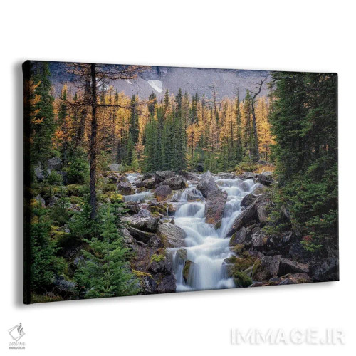 تابلو آبشار کانادا اثر دنیس فراتس - نمای پرسپکتیو محصول