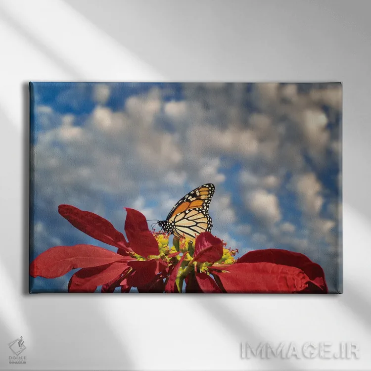 تابلو پروانههای شهریار ۳ (نوع پروانه) اثر دنیس فراتس - نمای روبهرو روی دیوار