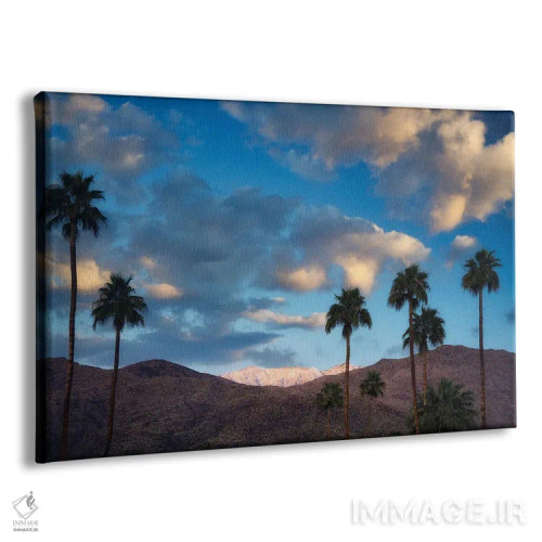 تابلو بارش برف در بیابان نخل I اثر دنیس فراتس - نمای پرسپکتیو محصول