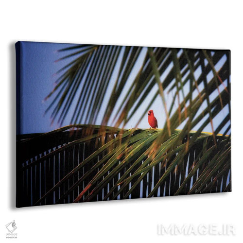تابلو آواز کارباورال (پرنده) اثر دنیس فراتس - نمای پرسپکتیو محصول