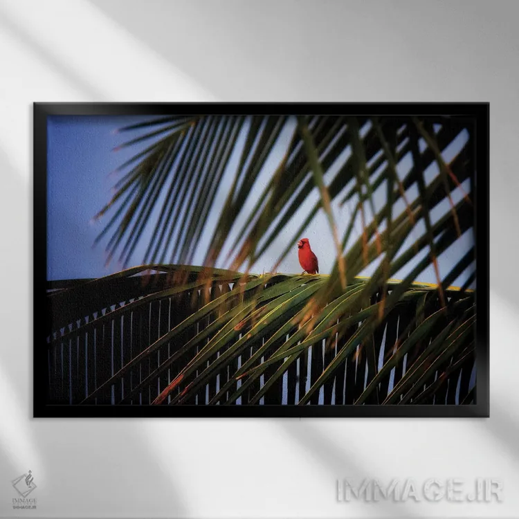 تابلو آواز کارباورال (پرنده) اثر دنیس فراتس - نمای قابدار مشکی